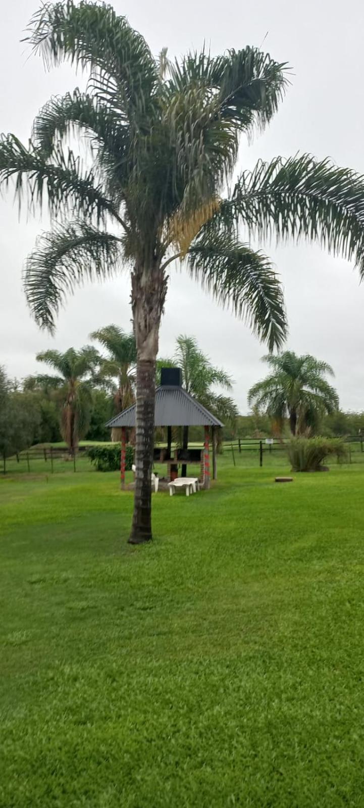 Cabanas Del Paraiso Colón Exteriör bild